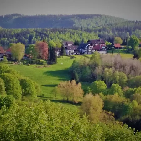 Harzperle Hohegeiss - A69866 Braunlage