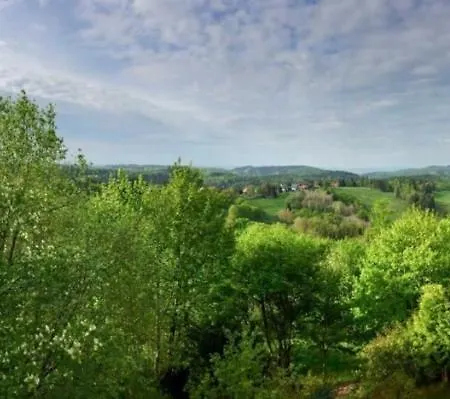 Harzperle Hohegeiss - A69866 * Braunlage